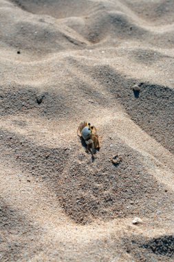 Doktorun mağara Beach, Montego Bay, Jamaika