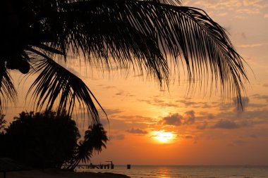 Tioman Adası, Malezya'nın stok görüntü