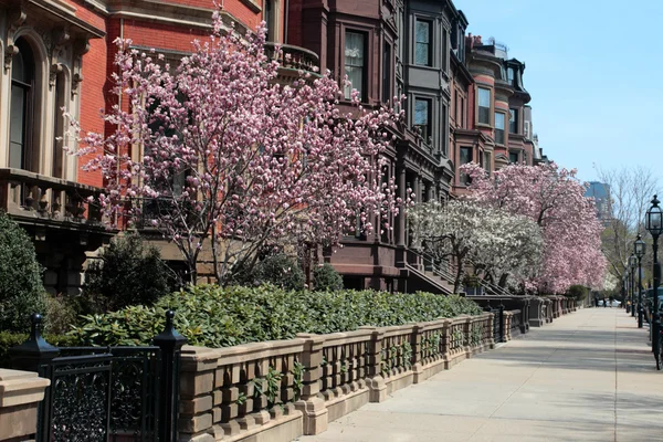 Back Bay, Boston —  Fotos de Stock