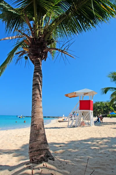 Doctor's Cave Beach, Montego Bay, Jamaica — Stockfoto