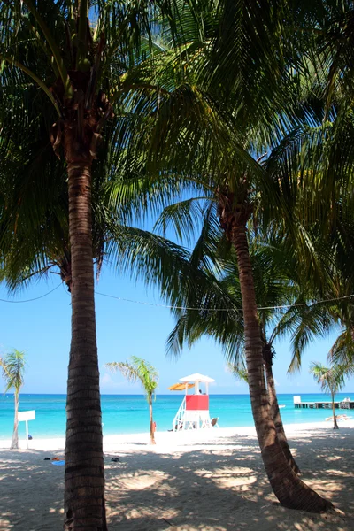 Doctor's grot Beach Club, Montego Bay, Jamaica — Stockfoto