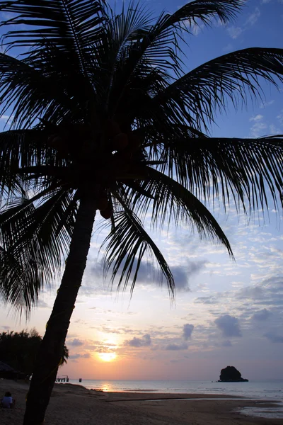 Pień obrazu Tioman Island, Malezja — Zdjęcie stockowe