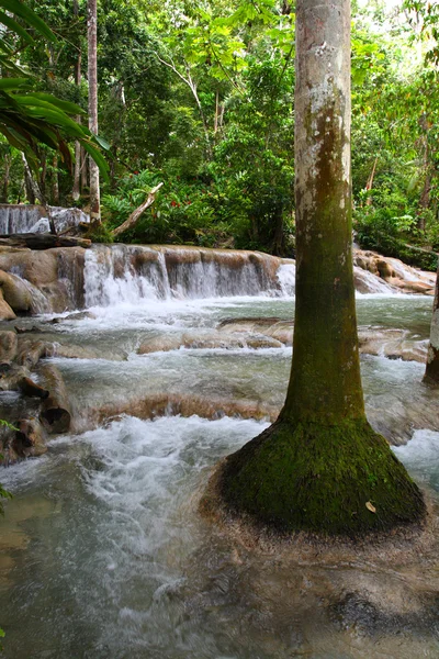 Imagem stock de Ocho Rios, Jamaica — Fotografia de Stock