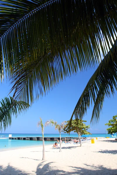 Doctor's Cave Beach, Montego Bay, Jamaica — Stock Photo, Image