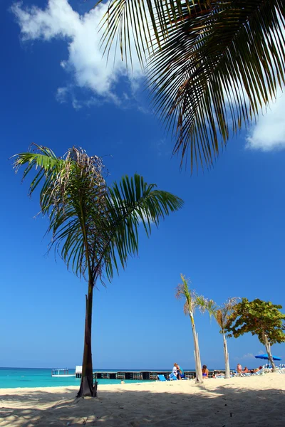 Doctor's grot strand, Montego Bay, Jamaica — Stockfoto