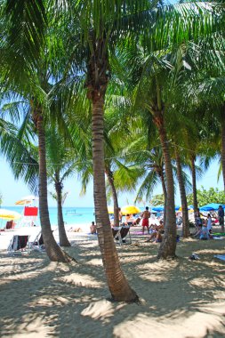 Doktorun mağara Beach, Montego Bay, Jamaica