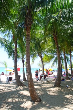 Doktorun mağara Beach, Montego Bay, Jamaica