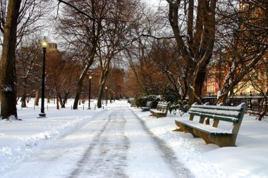 Boston, Massachusetts, ABD 'de kar yağışının stok görüntüsü