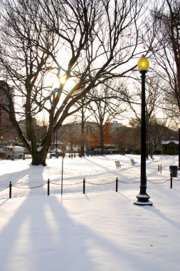 Boston, Massachusetts, ABD 'de kar yağışının stok görüntüsü