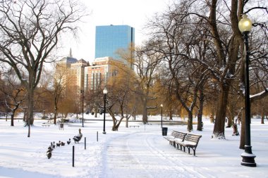 Boston, Massachusetts, ABD 'de kar yağışının stok görüntüsü