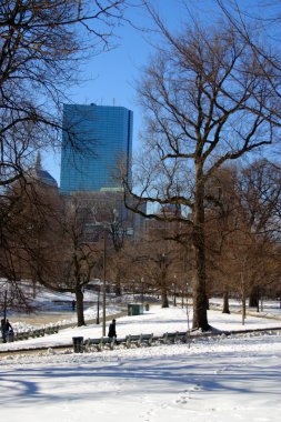 Boston, Massachusetts, ABD 'de kar yağışının stok görüntüsü