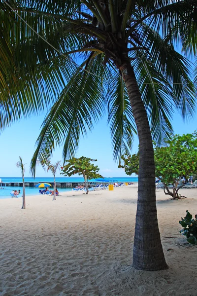 Orvos Cave strandjától, Montego Bay, Jamaica — Stock Fotó