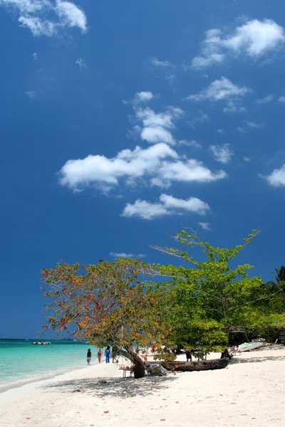 Στόκ εικόνων της Negril, Τζαμάικα — Φωτογραφία Αρχείου