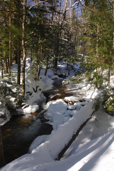 The basin, New Hampshire, EE.UU. — Foto de Stock