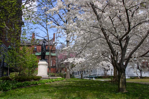 Дом штата Массачусетс, Бостон, США — стоковое фото