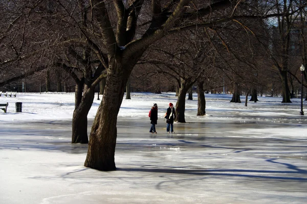 Stock imagen de un invierno nevando en Boston, Massachusetts, EE.UU. — Foto de Stock