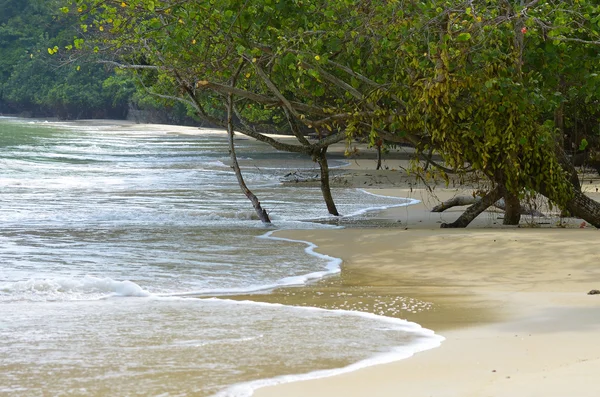 Στο νησί Langkawi, Μαλαισία — Φωτογραφία Αρχείου