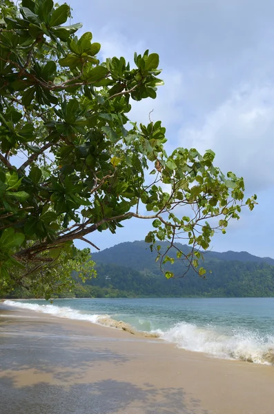 Insel Langkawi, Malaien — Stockfoto