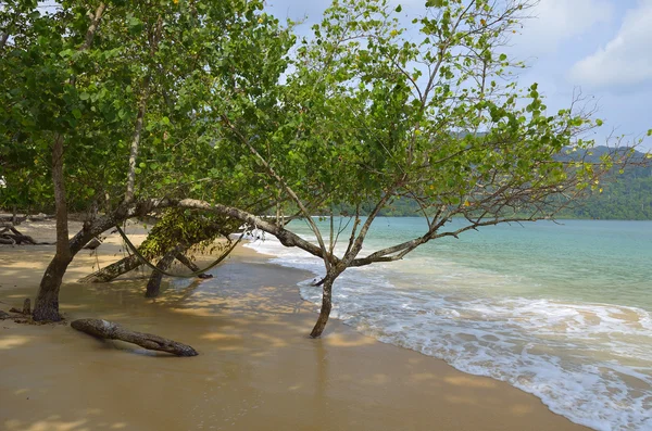 Στο νησί Langkawi, Μαλαισία — Φωτογραφία Αρχείου