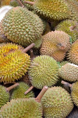 Durian içinde belgili tanımlık çarşı grubu