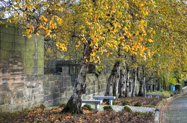 De Glasgow Necropolis, Victoriaanse gotische begraafplaats, Schotland, Uk — Stockfoto