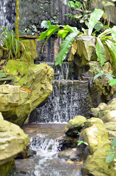 Wasserfall im malaysischen tropischen Dschungel — Stockfoto