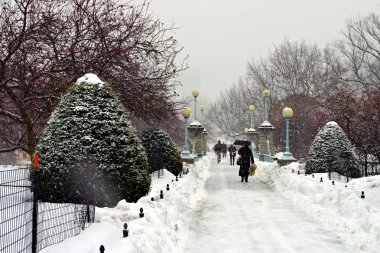 Boston, Massachusetts, ABD 'de kar yağışının stok görüntüsü