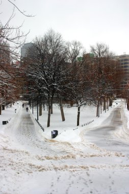Boston, Massachusetts, ABD 'de kar yağışının stok görüntüsü