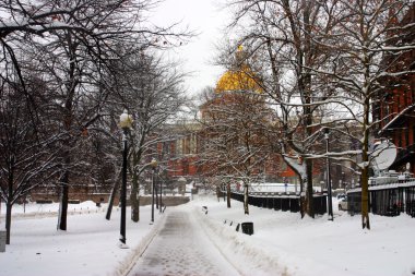 Boston, Massachusetts, ABD 'de kar yağışının stok görüntüsü