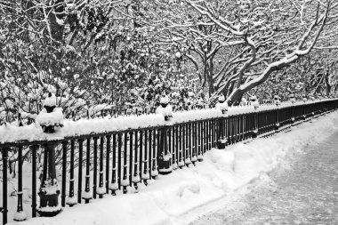 Boston, Massachusetts, ABD 'de kar yağışının stok görüntüsü