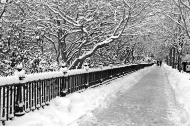 Boston, Massachusetts, ABD 'de kar yağışının stok görüntüsü