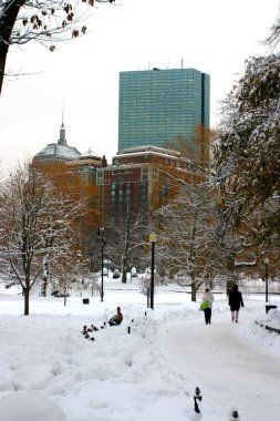 Boston, Massachusetts, ABD 'de kar yağışının stok görüntüsü