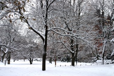 Boston, Massachusetts, ABD 'de kar yağışının stok görüntüsü
