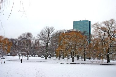 Boston, Massachusetts, ABD 'de kar yağışının stok görüntüsü