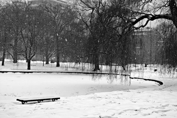 Stock image of a snowing winter at Boston, Massachusetts, USA — Stock Photo, Image