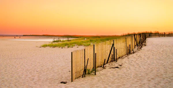 Cape Cod, Massachusetts, Amerikai Egyesült Államok — Stock Fotó