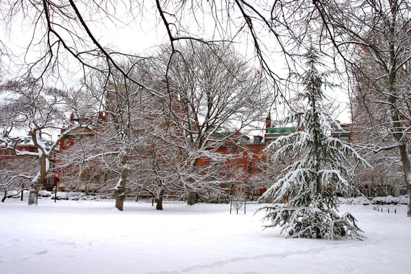 Image en stock d'un hiver neigeux à Boston, Massachusetts, Etats-Unis — Photo