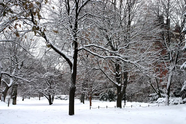 Stock imagen de un invierno nevando en Boston, Massachusetts, EE.UU. — Foto de Stock