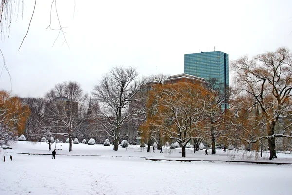Boston, Massachusetts, ABD 'de kar yağışının stok görüntüsü
