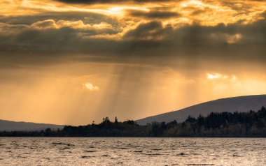 Kelvingrove art gallery ve Müzesi, Glasgow, İskoçya
