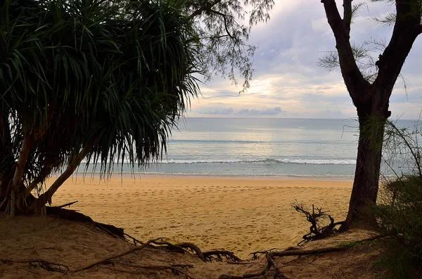 Bella spiaggia con cielo blu a Mai Khao spiaggia, Phuket, Thailandia — Foto Stock