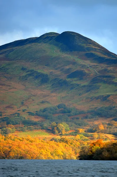 Pień obraz Loch Lomond, Szkocja — Zdjęcie stockowe