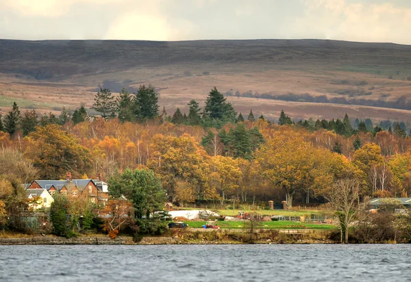 Pień obraz Loch Lomond, Szkocja — Zdjęcie stockowe