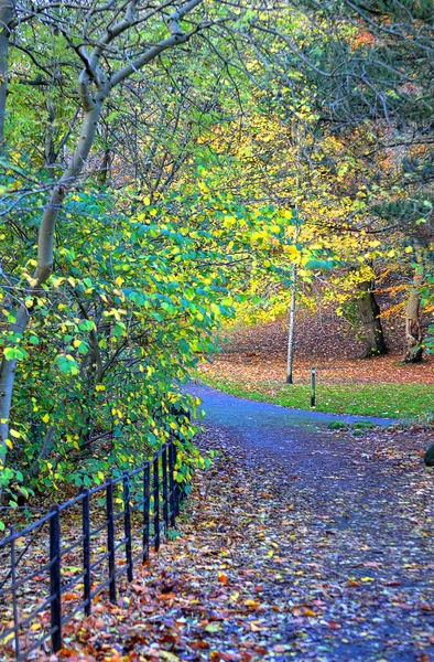 Kelvingrove a muzea, Glasgow, Skotsko — Stock fotografie