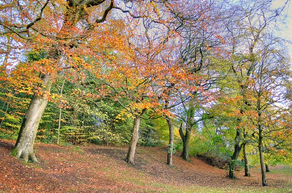 Kelvingrove a muzea, Glasgow, Skotsko — Stock fotografie