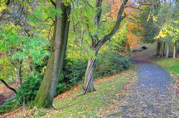 Το Kelvingrove Πινακοθήκη και Μουσείο, Γλασκώβη, Σκωτία — Φωτογραφία Αρχείου