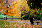 Podzim v Boston veřejné zahrady
