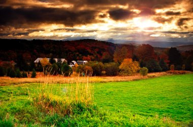 Sonbaharda yapraklar, Vermont, ABD
