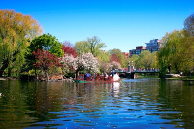 boston halk bahçesi