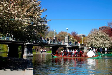boston halk bahçesi